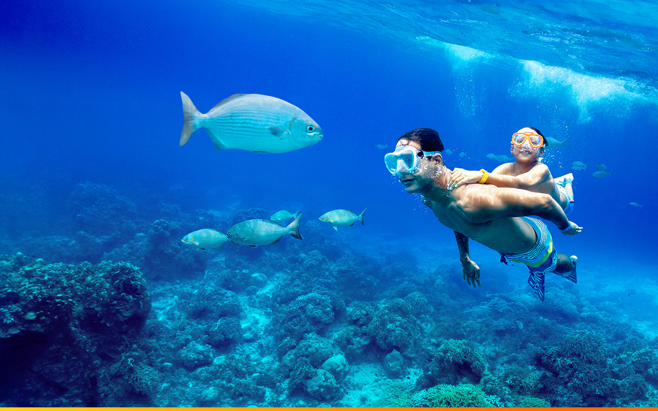 its big time fam snorkling 1400 900 gradient desktop